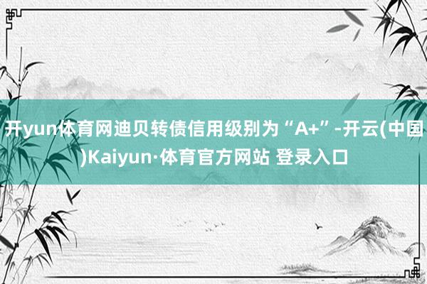 开yun体育网迪贝转债信用级别为“A+”-开云(中国)Kaiyun·体育官方网站 登录入口