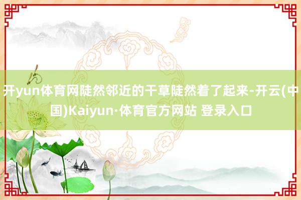 开yun体育网陡然邻近的干草陡然着了起来-开云(中国)Kaiyun·体育官方网站 登录入口