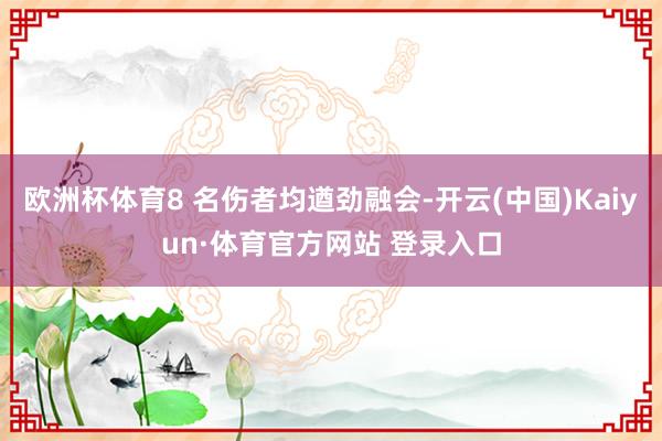 欧洲杯体育8 名伤者均遒劲融会-开云(中国)Kaiyun·体育官方网站 登录入口