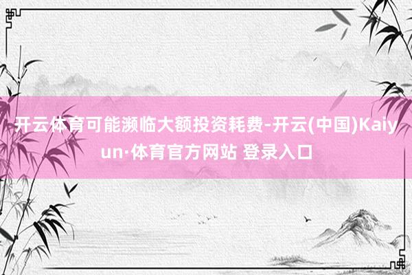 开云体育可能濒临大额投资耗费-开云(中国)Kaiyun·体育官方网站 登录入口