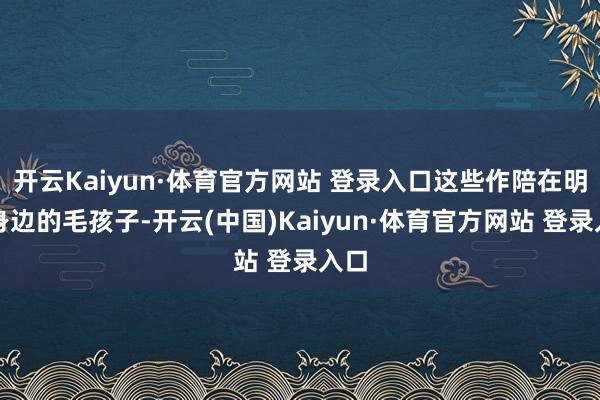 开云Kaiyun·体育官方网站 登录入口这些作陪在明星身边的毛孩子-开云(中国)Kaiyun·体育官方网站 登录入口