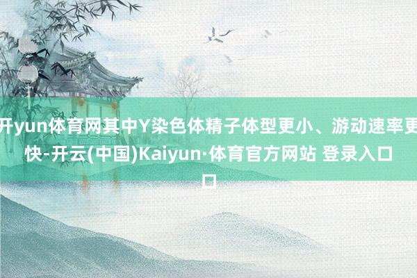 开yun体育网其中Y染色体精子体型更小、游动速率更快-开云(中国)Kaiyun·体育官方网站 登录入口