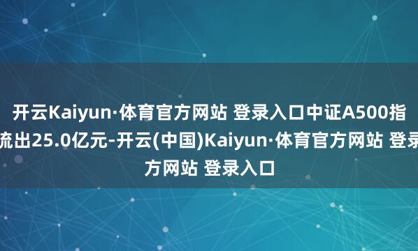 开云Kaiyun·体育官方网站 登录入口中证A500指数净流出25.0亿元-开云(中国)Kaiyun·体育官方网站 登录入口