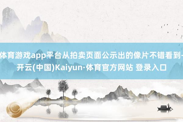 体育游戏app平台从拍卖页面公示出的像片不错看到-开云(中国)Kaiyun·体育官方网站 登录入口