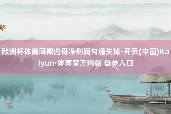 欧洲杯体育同期归母净利润勾通失掉-开云(中国)Kaiyun·体育官方网站 登录入口